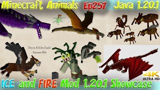 ICE and FIRE Dragon Mod 120 Showcase Dragons and Minecraft Creatures 1201 Minecraft Animals Ep257 [upl. by Maximo]