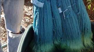 Indigo Dyeing full video [upl. by Ivey903]