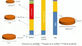 SmectiteandIllite [upl. by Bala]