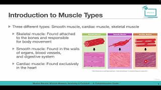 Introduction to Muscle Types [upl. by Cormier]