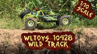 WLToys rock crawler 10428 RC Wild track110 [upl. by Neuburger181]