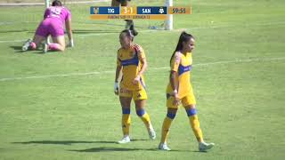 Tigres vs Santos  Femenil sub 19  Resumen 51  J13  Apertura 2024 [upl. by Dewees721]