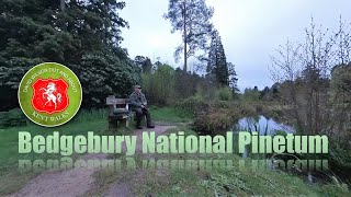 Bedgebury National Pinetum Kent Walks Series [upl. by Redfield]