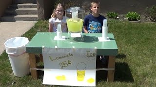 How to Run Your Own Lemonade Stand [upl. by Aninotna]