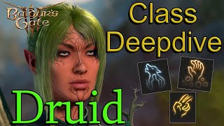 Ultimate Druid Class Guide  Baldurs Gate 3 [upl. by Ailama353]