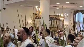 Hallel à Jerusalem ויתענג בה׳ [upl. by Ola438]