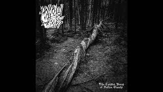 Hollow Woods  Like Twisted Bones of Fallen Giants Full Album Premiere [upl. by Edecrem]