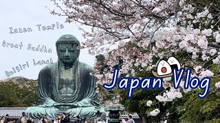 Japan Vlog♡ 鎌倉、桜の時期の大仏さま＆おにぎりランチで鎌倉満喫😍 [upl. by Diarmid]