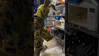 Springtrap Gets Pranked Fnaf prank DaRegularSauce [upl. by Ednyl]