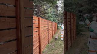 Here’s a trick staining a fence gadgets airless woodcence expert [upl. by Staal]