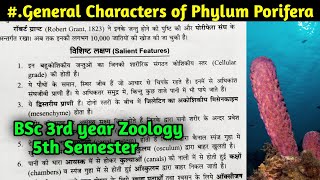 General characteristics of phylum Porifera in hindi  BSc 3rd year Zoology 5th Semester [upl. by Cerracchio]