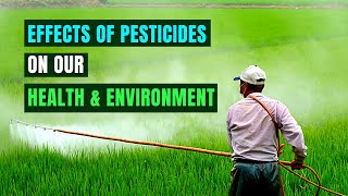 Devastating Effects of Pesticides on Our Health and Environment [upl. by Arag706]