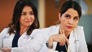 Greys Anatomy Season 21 Sets the Romantic Fate of Amelia amp Monica in Winstons Twist Confession [upl. by Huber]