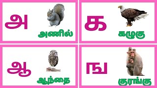 உயிர் எழுத்துக்கள்உயிர்மெய் எழுத்துக்கள் uyir eluthukkal uyirmei eluthukkalkidswithfunlearning [upl. by Hightower]