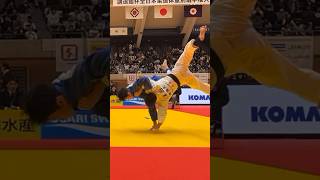 Kodokan cup 2024judo дзюдо judojapan sambo [upl. by Ihc]