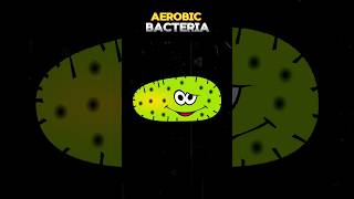 AEROBIC BACTERIA aerobicbacteria aerobicbacteria  WHAT IS AEROBIC BACTERIA shortsviraltreand [upl. by Noyrb324]