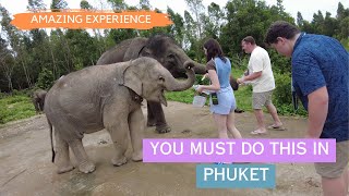 Elephant Retirement Park Phuket Feed and Care Program [upl. by Teiv]