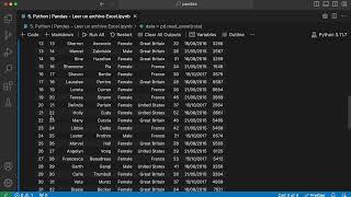610 Python  Pandas  Leer un archivo Excel python [upl. by Joli]