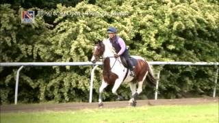 British Eventing Training 3 Speed training [upl. by Mirabel]