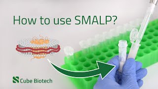 SMALP How to solubilize membrane proteins using synthetic nanodiscs  Cube Biotech [upl. by Cigam]