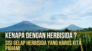 DAMPAK NEGATIF HERBISIDA  Sisi lain yang harus kita pahami  Petani pemula [upl. by Aniahs]