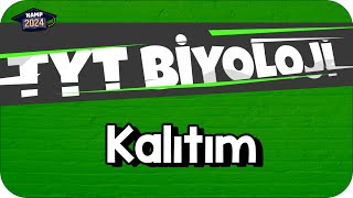 Kalıtım  TYT Biyoloji KAMP2024 [upl. by Duile]