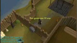 Runescape Barbarian Outpost Agility Course Guide [upl. by Sutsugua746]