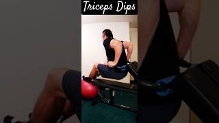 Arm Workout at Home  Triceps Dips triceps tricepsworkout [upl. by Thorner]