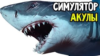 Sydney Shark Прохождение На Русском — СИМУЛЯТОР АКУЛЫ ОНА ЖРЕТ САМОЛЕТЫ [upl. by Ardnasxela]