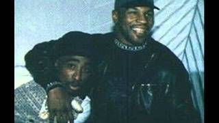 2PacUppercutPictures with Mike Tyson [upl. by Lede]