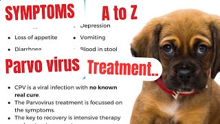 parvovirus in dogs  parvo dog virus treatment  parvovirus treatment  parvovirus symptoms  parvo [upl. by Mika]