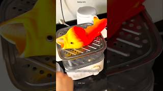 Unique Fish Slipper😨🐟। New Viral Gadgets Smart Appliances Kitchen [upl. by Simonne]