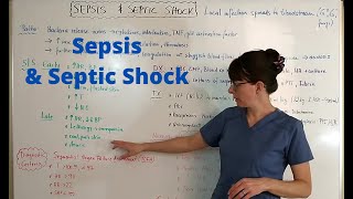 Sepsis amp Septic Shock [upl. by Lyons385]