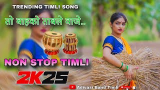 🥁 तो बाहको ताबले वाजे  🥁  New Adivasi Trending Timli Song 2025  Nonstop Timli Song [upl. by Vinita]