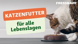 Welches Katzenfutter ist das Beste Unsere Tipps für Kitten Adult amp Senior [upl. by Trant]