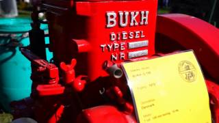 Stationary Bukh Diesel from Greenland – The engine Collection Denmark [upl. by Lebama203]