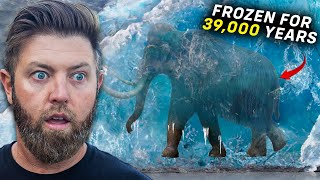 5 Prehistoric Animals Found Frozen in Ice [upl. by Latouche]