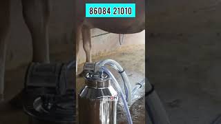 ನ್ಯಾನೋ ಹಾಲು ಕರೆಯುವ ಯಂತ್ರ Nano milking machine mdm milkingmachinecompany [upl. by Itnahsa]