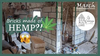 Il Palazzo  Our life in Tuscany  Bricks made of hemp  March Ep5 [upl. by Ylrevaw]