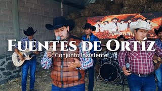 Fuentes de Ortíz  Conjunto Insistente En Vivo [upl. by Blase]