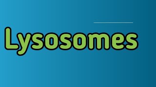 what is lysosomeswhich are enzymes in lysosomes [upl. by Pantia13]