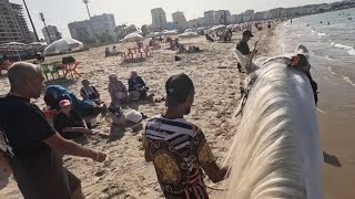 I Bought A Horse On Morocco’s Most Notorious Beach 🇲🇦 [upl. by Meunier]