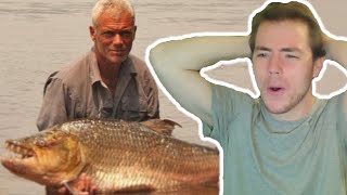 Fish Biologist reacts to quotRiver Monsters Tigerfishquot [upl. by Esilanna]