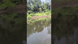 Subarnarekha river Halmad Ranchi Jharkhand Indiajharkhand river shorts video youtubeshorts [upl. by Iseabal]