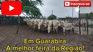 FEIRA DE GADO DE GUARABIRAPB ✅ 11012024✅DEBAIXO DE MUITA CHUVA [upl. by Freberg]