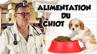 Dr Wouf  ALIMENTATION DU CHIOT [upl. by Norud]