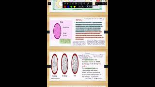 Fertilization and implantation [upl. by Cassy]