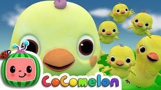 Five Little Birds 2  CoComelon Nursery Rhymes amp Kids Songs [upl. by Costello]