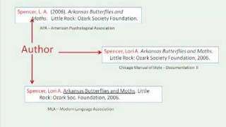 How to Read a Citation [upl. by Tore]