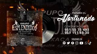 Esplendidos De oaxaca ★ Popurri El Afortunado Live 2024 ✔ [upl. by Dygert]